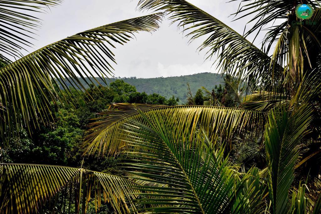 Green View Apartment Thekkady Ngoại thất bức ảnh